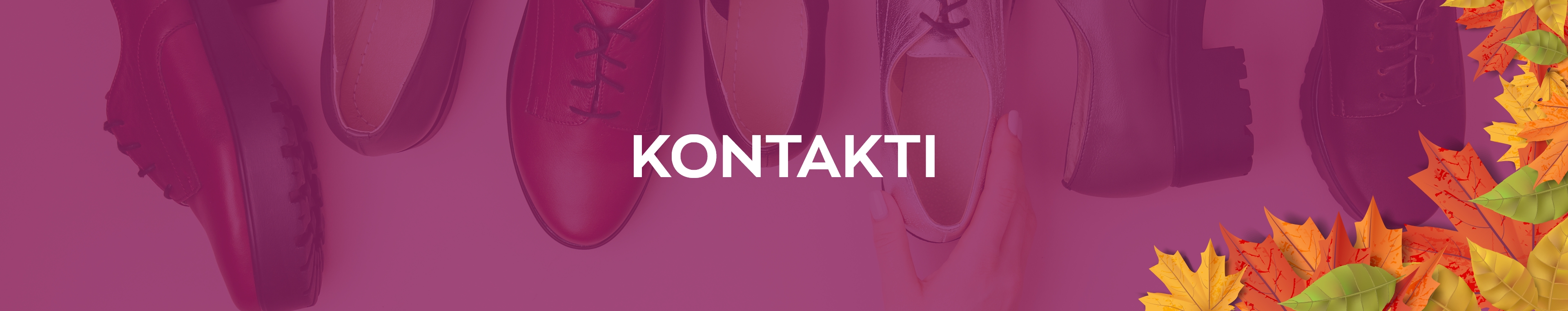 NoEndShoes shop header
