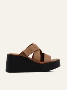 CAMEL Product Thumbnail